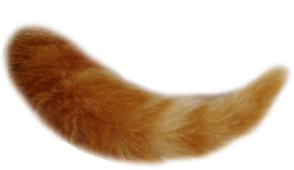 tail